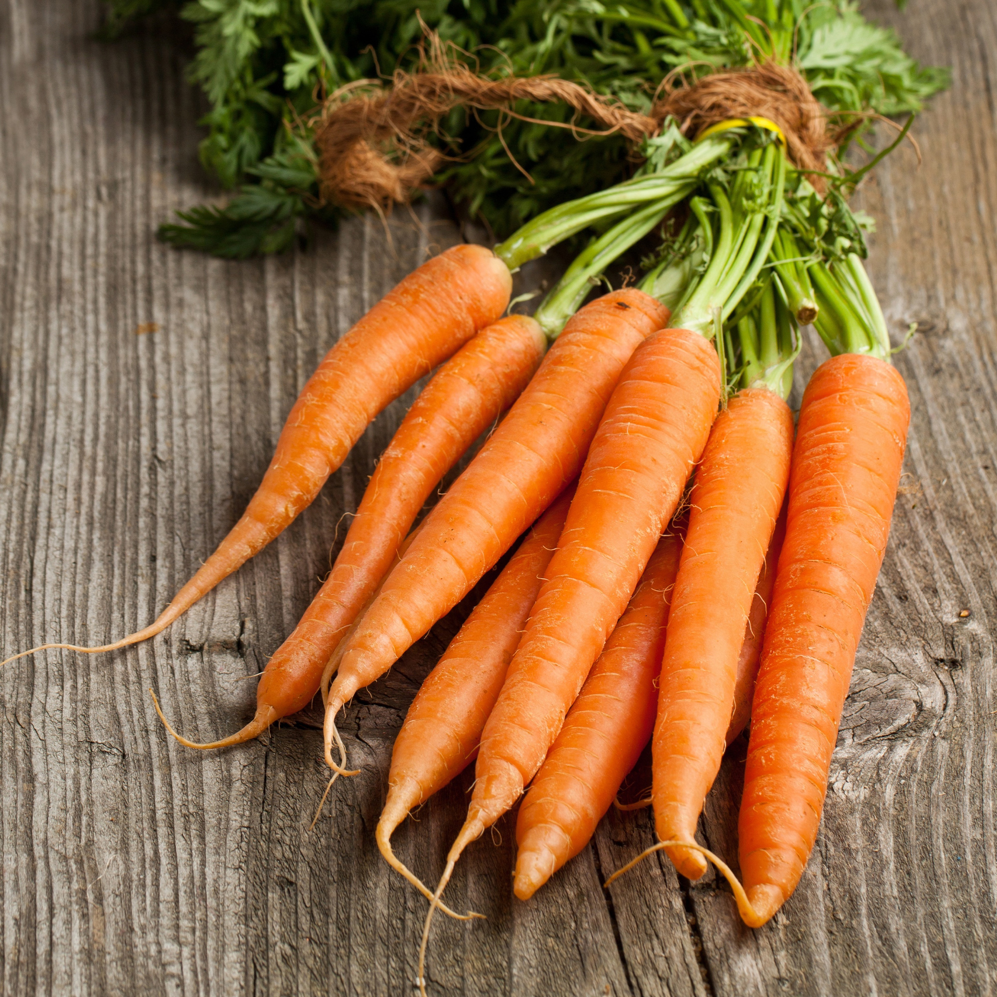 Carrot Seeds - Kuroda Long 8 - .25 Oz ~5,000 - Vegetable - Non-GMO - Buy Non-GMO Daucus carota var. sativus Farm &amp; Gardening See