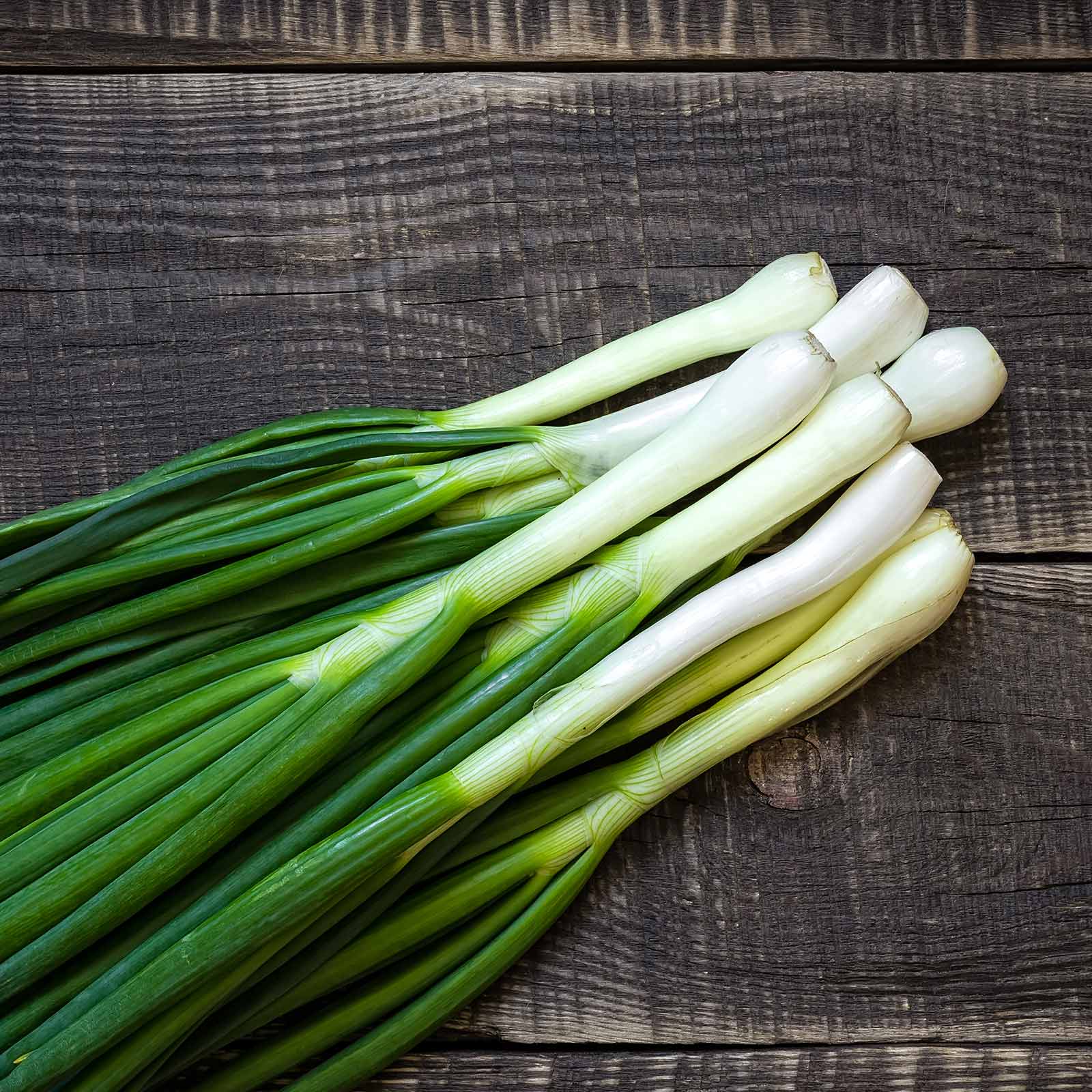 Seeds: Tokyo Long White Bunching Onion Garden-1 Oz- Non-GMO Heirloom - Buy Non-GMO Allium fistulosum Farm &amp; Gardening Seeds Onli