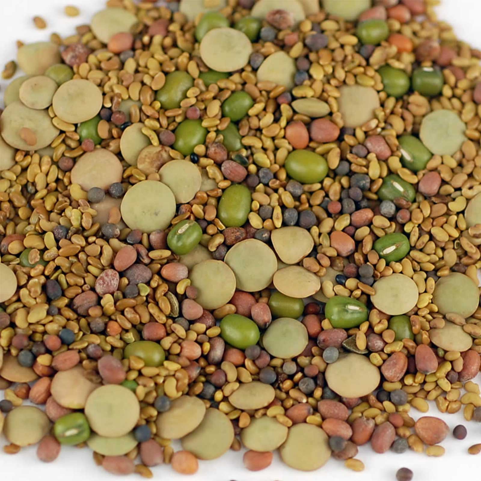 5 Part Organic Sprouting / Sprout Seed Salad Mix - Sprouts - 5 Lbs - Sprouts, Sprouting - Healthy Living &amp; Raw Food - Grow, Grow