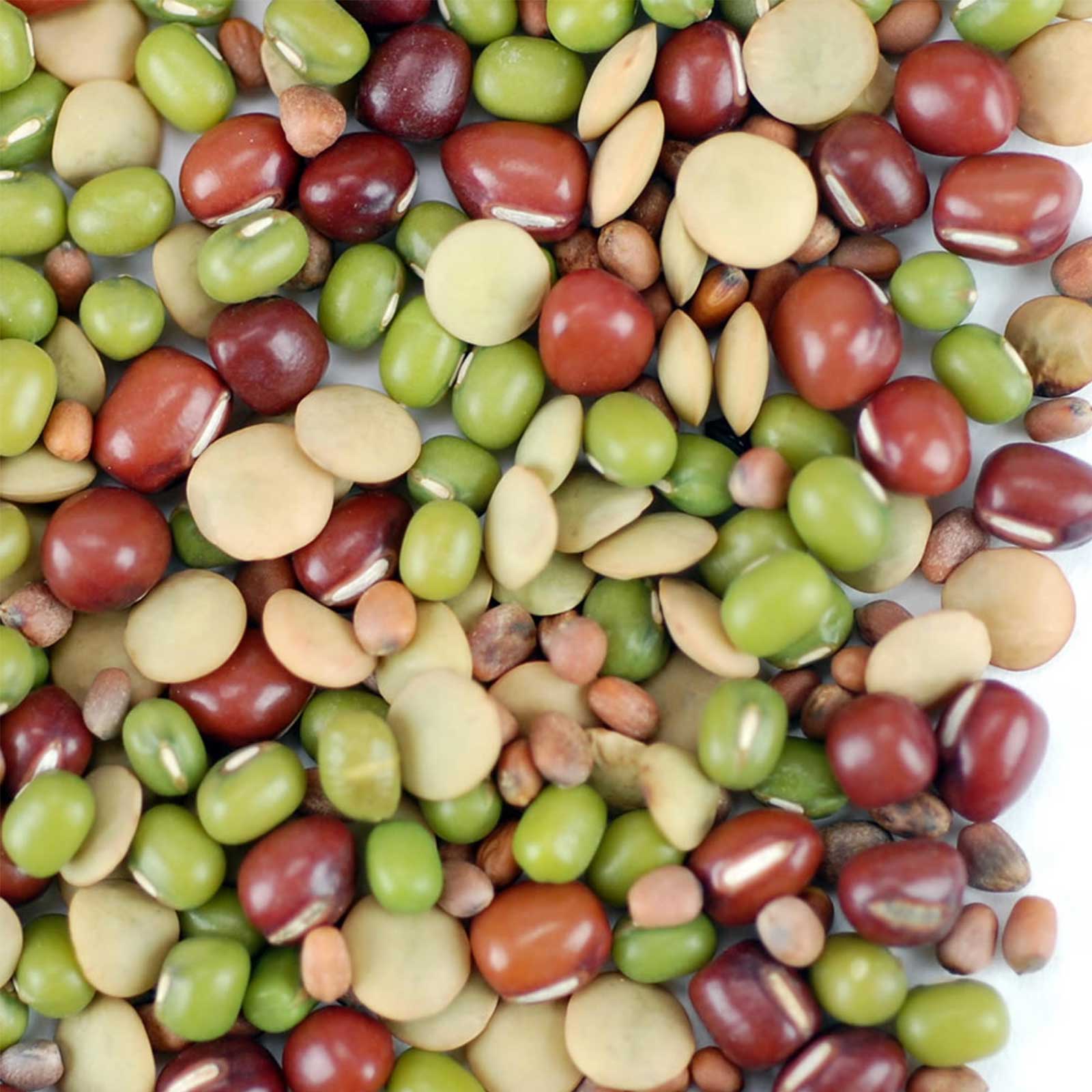 Organic Bean Salad Mix-Adzuki Mung Lentil Radish- Sprout Seeds- 5 Lbs - Sprouts, Sprouting - Healthy Living &amp; Raw Food - Grow, G