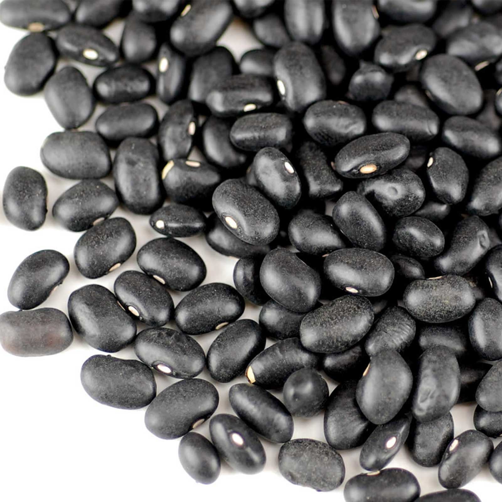 Organic Black Turtle Beans / Spanish Bean - Sprouting Seed - 1 Lb - Buy Non-GMO Phaseolus vulgaris Farm &amp; Gardening Seeds Online