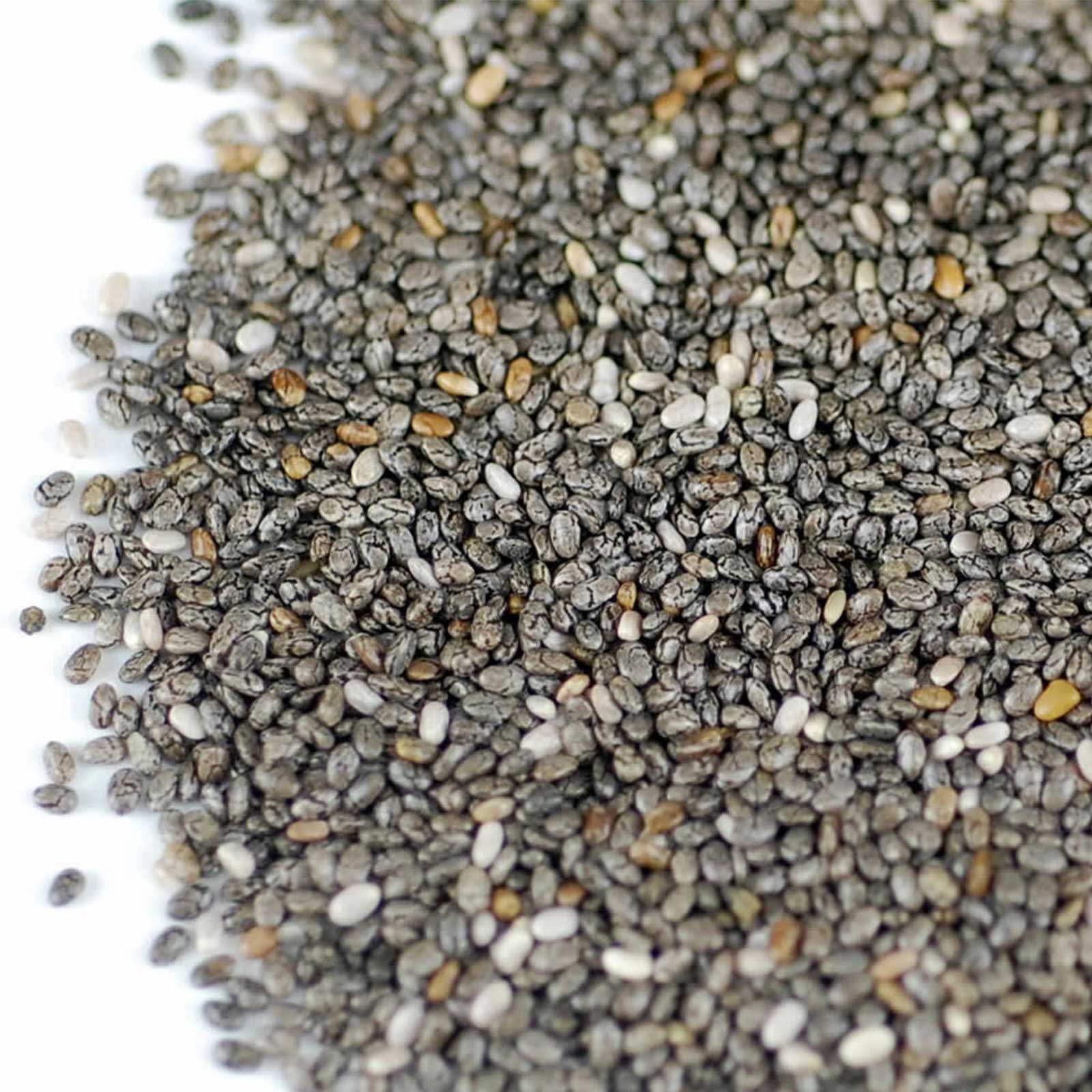 Chia Sprouting Seeds - Chia Sprout Seed for Sprouts / Pet Refill- 4.5 Lb - Buy Non-GMO Salvia hispanica Farm &amp; Gardening Seeds O