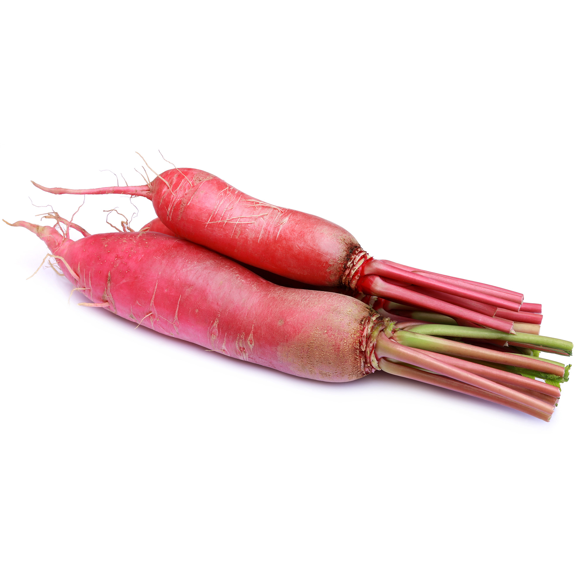 Red Daikon Radish - (Ostergruss Rosa) - 4 g Packet ~300 Seeds - Heirloom - Buy Non-GMO Raphanus sativus Farm &amp; Gardening Seeds O